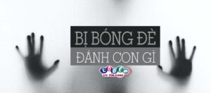 Mơ bị bóng đè đánh con gì? Và điềm báo của giấc mơ là gì?