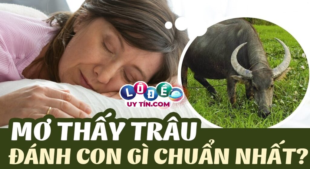 Mơ thấy trâu đánh số gì, là điềm lành hay dữ?