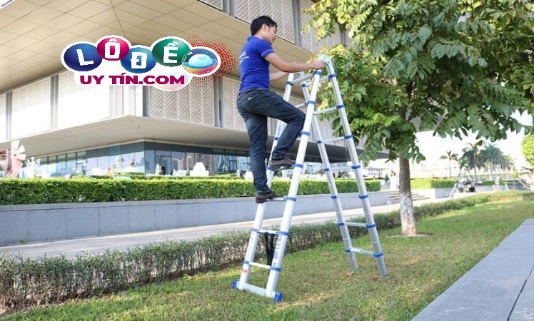 Mơ thấy trèo thang đánh con gì đẹp? Đây là điềm tốt hay xấu