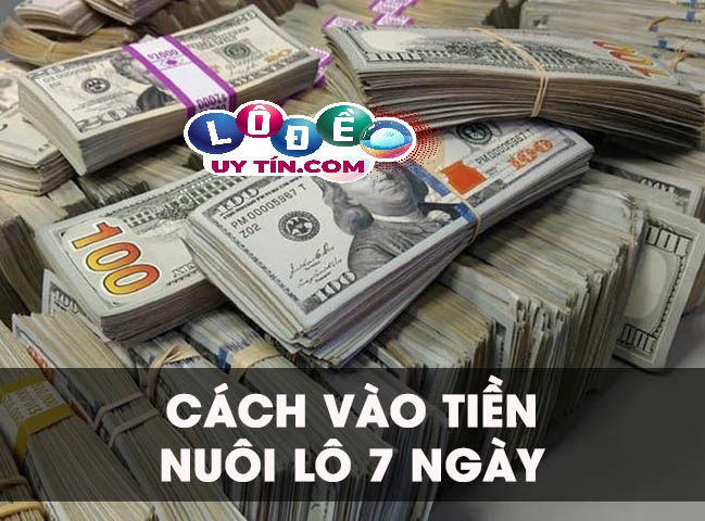 Bật mí các cách vào tiền nuôi lô 7 ngày hiệu quả nhất