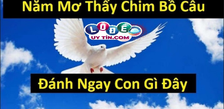 Mơ thấy chim bồ câu là điềm báo tốt hay xấu, nên đánh đề gì?