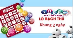 Kinh nghiệm nuôi bạch thủ lô khung 2 ngày tỷ lệ ăn cao