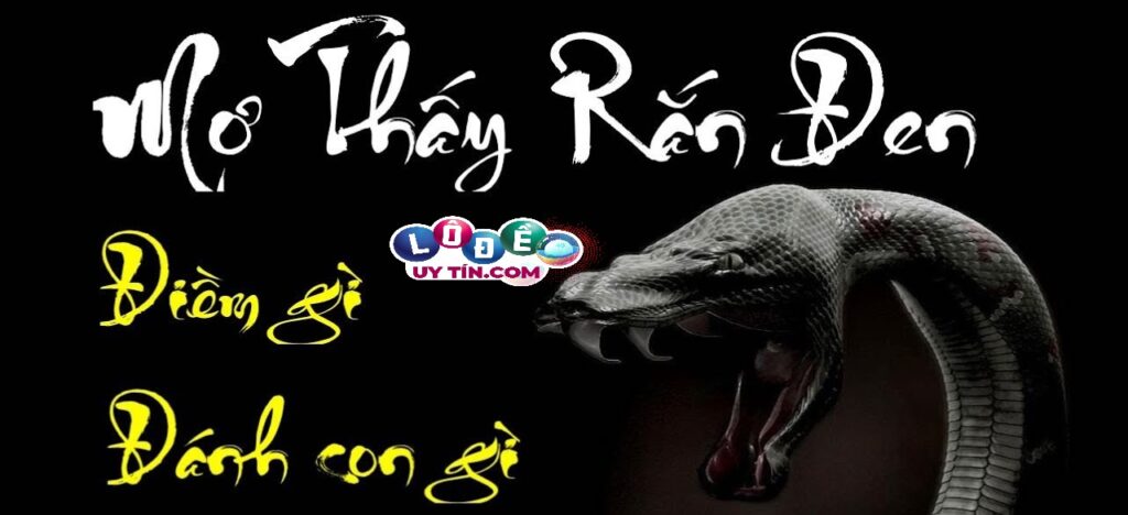 Mơ thấy rắn đen trắng đánh con gì và ý nghĩa giấc mơ