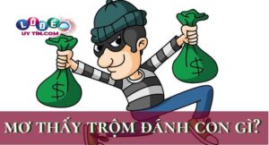 Nằm mơ đi ăn trộm có phải điềm xấu? Đánh con gì đẹp nhất 