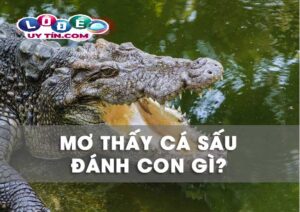 Mơ thấy cá sấu báo điềm nguy hiểm? Đánh con gì?