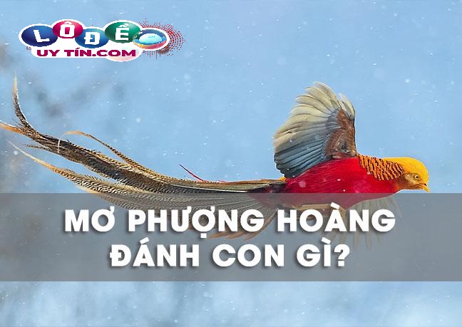 Mơ thấy chim phượng hoàng có ý nghĩa gì, đánh số mấy?