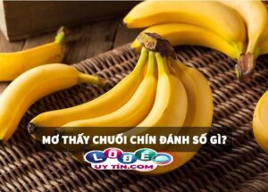 Lý giải giấc mơ thấy chuối chín đánh số nào? Là điềm báo gì?