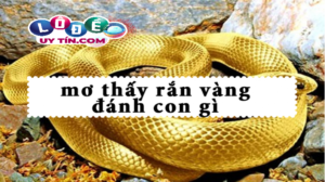 Giải mã nằm mơ thấy rắn vàng đánh con gì, là điềm gì