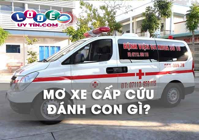 Mơ thấy xe cấp cứu đánh con gì, là điềm báo gì?