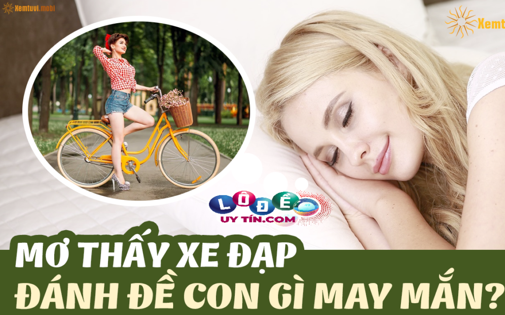 Mơ xe đạp bị hỏng đánh con gì trong lô đề