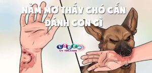 Mơ thấy chó cắn là điềm gì, đánh con gì dễ trúng nhất?