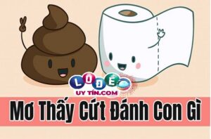 Nằm mơ thấy phân: Điềm báo và con số may mắn