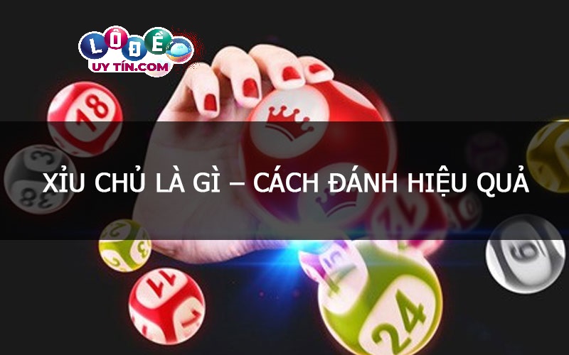 Dự đoán xỉu chủ miền Bắc hôm nay với độ chính xác cao 1 Dự đoán xỉu chủ miền Bắc hôm nay với độ chính xác cao