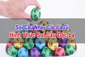 soi-cau-nhay-coc-1