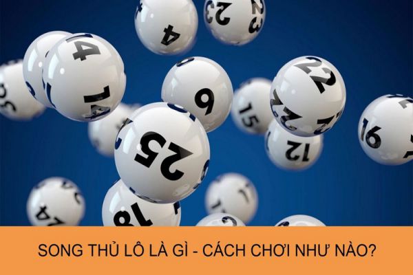 kinh-nghiem-bat-song-thu-lo-1