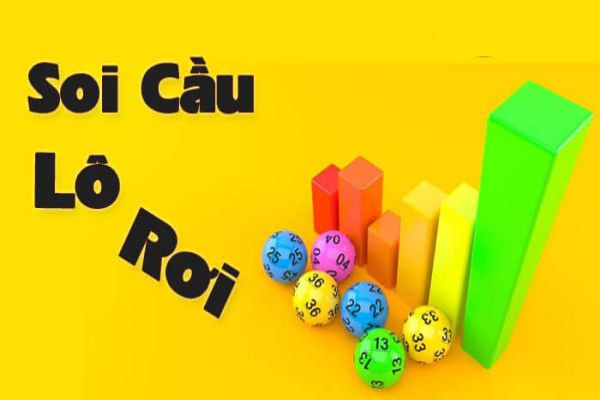 soi-cau-lo-roi-1