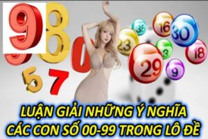 y-nghia-cac-con-so-trong-lo-de-1