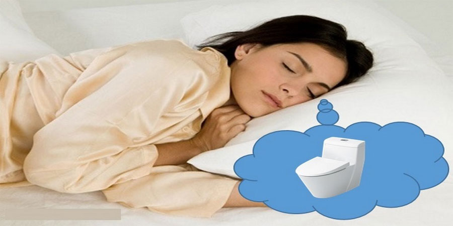 Mơ Chuồng Xí - Giải Mã Giấc Mơ Thấy Chuồng Xí Đánh Con Gì