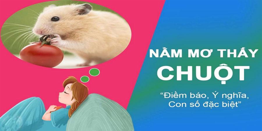 Mơ Chuột Bạch - Giải Mã Ý Nghĩa Giấc Mơ Và Những Con Số May Mắn