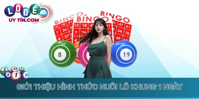 Nuôi Lô Khung 1 Ngày - Chọn Cầu Đúng, Vào Tiền Thắng Lớn 2 Giới thiệu hình thức nuôi lô khung 1 ngày